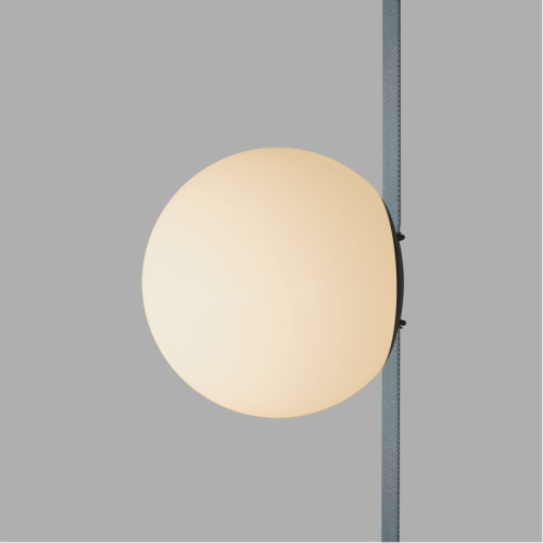 Светильник на шине Denkirs BELTY ORB | БЕЛТИ ОРБ DK5551-BK фото 2 Светильник на шине Denkirs BELTY ORB | БЕЛТИ ОРБ DK5551-BK фото 2