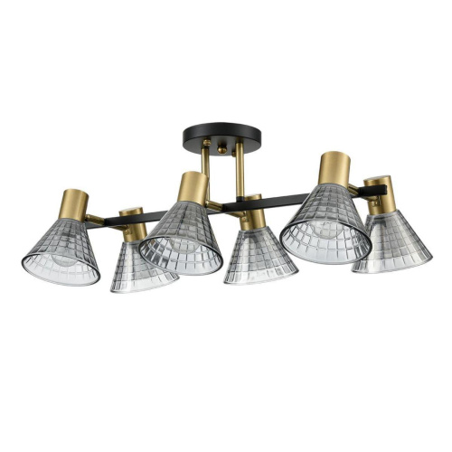 Потолочная люстра Lumion Moderni Anriya 8044/6C Потолочная люстра Lumion Moderni Anriya 8044/6C