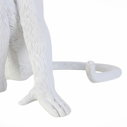 Прикроватная лампа Evoluce Tenato SLE115104-01 фото 4