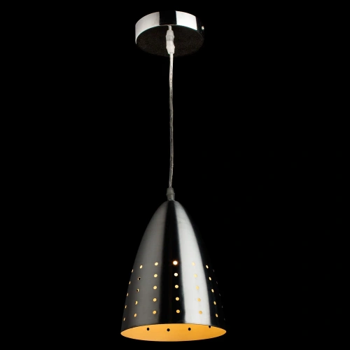Подвесной светильник Arte Lamp LUCIDO A4081SP-1SS фото 2 Подвесной светильник Arte Lamp LUCIDO A4081SP-1SS фото 2