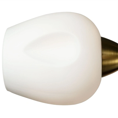 Потолочная люстра Arte Lamp BRIGHTON A2706PL-5CK фото 3 Потолочная люстра Arte Lamp BRIGHTON A2706PL-5CK фото 3
