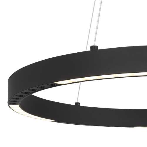 SL6238.423.01 Светильник подвесной ST-Luce черный/черный LED 1*25W 4000K PARILLA фото 4