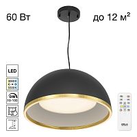 Citilux FLOOM CL736251 Светильник подвесной с пультом Чёрный+Золото
