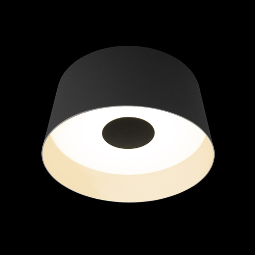 10360M Grey Потолочный светильник LOFT IT Duo фото 5 10360M Grey Потолочный светильник LOFT IT Duo фото 5