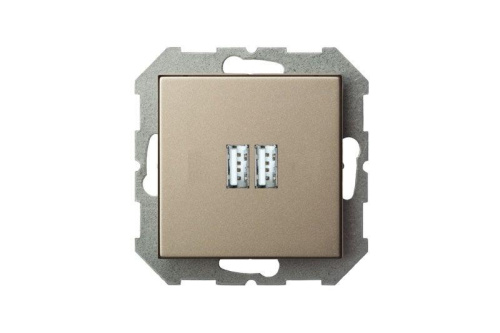 Розетка 2xUSB Liregus Epsilon шампань 28-3242 фото 2