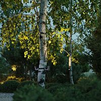6648/6WA3 NATURE ODL25 687 черный/металл Фасадный поворотный светильник на 360° IP67 LED CREE 6W 3000K 30° AC85-265V STIMA