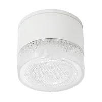 Уличный потолочный светильник Arte Lamp PIAUTOS A1926PF-1WH