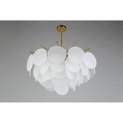 Люстра потолочная OML-67407-06 фото 5 Люстра потолочная OML-67407-06 фото 5