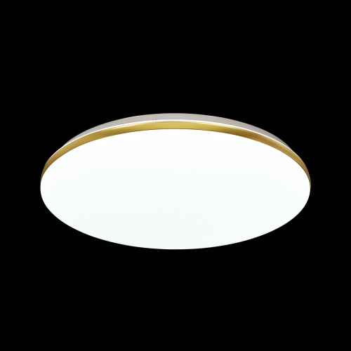 3043/DL TAN SN 000 Светильник пластик/белый/золотистый LED 48Вт 3000-6300К D385 IP43 пульт ДУ/ LampSmart LASSA фото 5