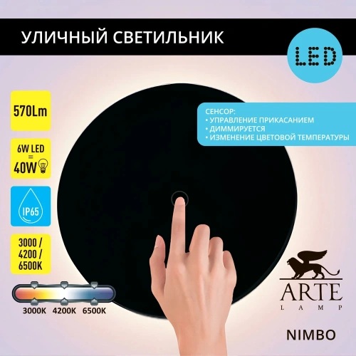 Фасадный светильник Arte Lamp NIMBO A4506AL-1BK фото 6 Фасадный светильник Arte Lamp NIMBO A4506AL-1BK фото 6