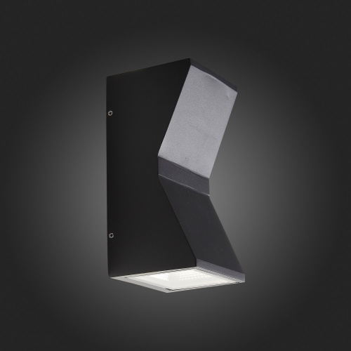 SL088.431.02 Светильник уличный настенный ST-Luce Черный кварцевый LED 2*7W 4000K DEALE фото 3