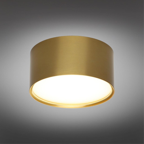 Светильник встраиваемый-накладной OML-100929-12 фото 3 Светильник встраиваемый-накладной OML-100929-12 фото 3