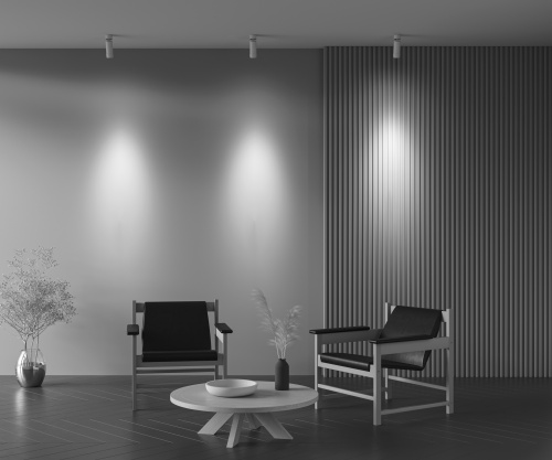 Потолочный светильник Technical C055CL-L12W2.7K-Z-W фото 2