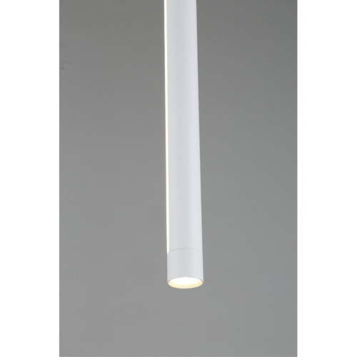 Светильник подвесной OML-102006-17 фото 5 Светильник подвесной OML-102006-17 фото 5