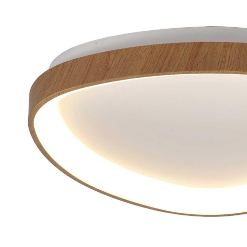 Потолочный светодиодный светильник Mantra Niseko II 8632 фото 2