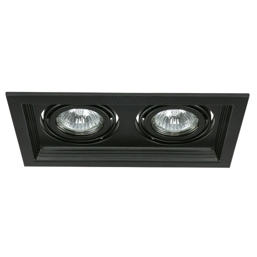 Точечный встраиваемый светильник Arte Lamp CANIS A6661PL-2BK