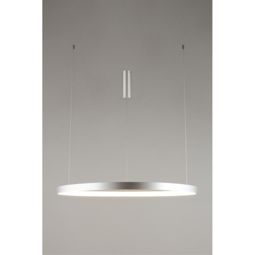 Люстра подвесная APL.022.13.60 фото 2