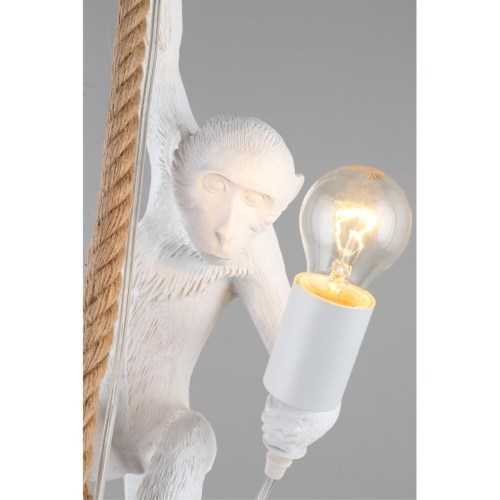 Светильник подвесной APL.309.06.01 фото 8 Светильник подвесной APL.309.06.01 фото 8