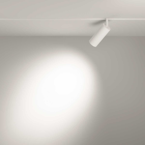Трековый светильник Voltega Эксилайт / Exilight VGL032-4-12W3K-S-DS-W фото 5 Трековый светильник Voltega Эксилайт / Exilight VGL032-4-12W3K-S-DS-W фото 5