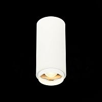 ST600.532.10 Светильник потолочный Zoom Белый LED 1*10W 3000K 1 000Lm Ra>80 15-60° IP20 D59xH130 170 Накладные светильники