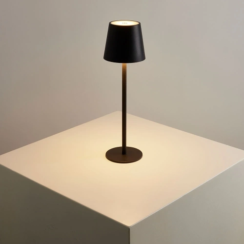 Уличный настольный светильник Arte Lamp FUYUE A1614LT-1BK фото 2 Уличный настольный светильник Arte Lamp FUYUE A1614LT-1BK фото 2