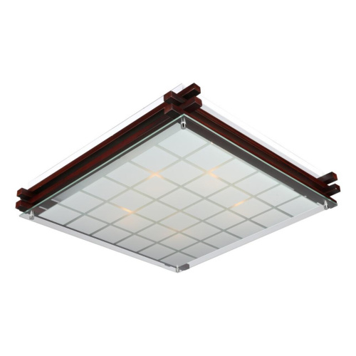 Светильник настенно-потолочный OML-40507-05 Светильник настенно-потолочный OML-40507-05