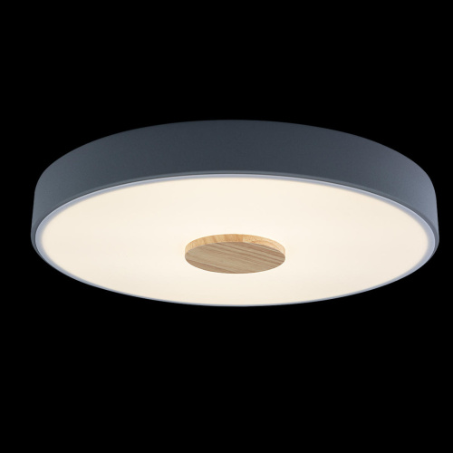 10003/24 Grey Потолочный светильник LOFT IT Axel фото 2 10003/24 Grey Потолочный светильник LOFT IT Axel фото 2