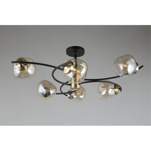 Люстра потолочная OML-95307-06 фото 14 Люстра потолочная OML-95307-06 фото 14