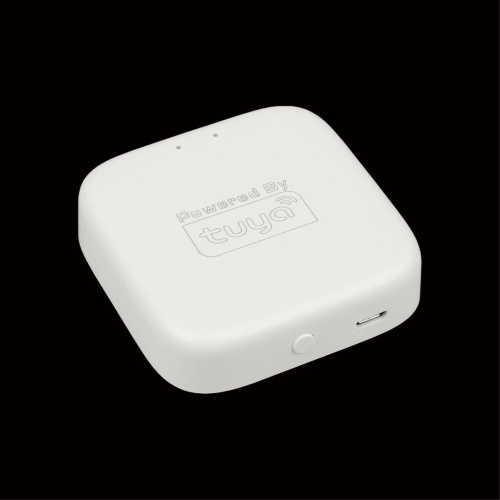 Трековое управление APL.0295.00.01 фото 6 Трековое управление APL.0295.00.01 фото 6