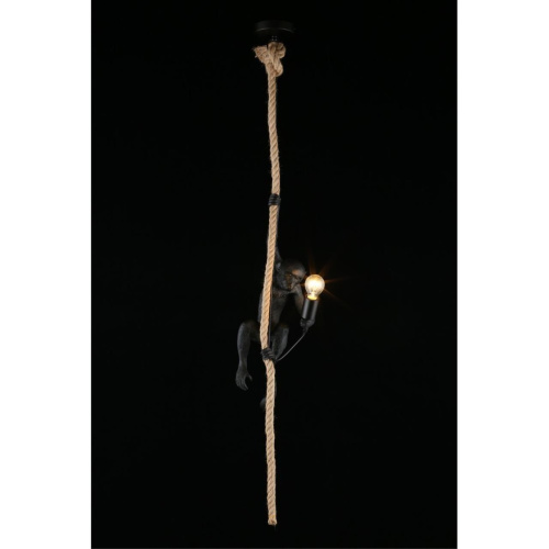 Светильник подвесной APL.309.16.01 фото 9 Светильник подвесной APL.309.16.01 фото 9