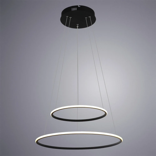 Подвесная люстра Arte Lamp RAPID A2500SP-2BK фото 3 Подвесная люстра Arte Lamp RAPID A2500SP-2BK фото 3
