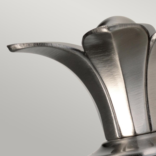 Бра для ванных комнат HK-PLANT-BATH-PL Hinkley, арт. HK-PLANT-BATH-PL фото 3