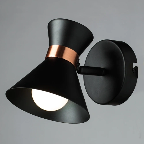 Спот Arte Lamp BALTIMORE A1406AP-1BK фото 2 Спот Arte Lamp BALTIMORE A1406AP-1BK фото 2