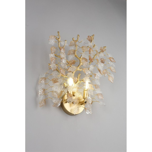 Светильник настенный (Бра) OML-52801-02 фото 8