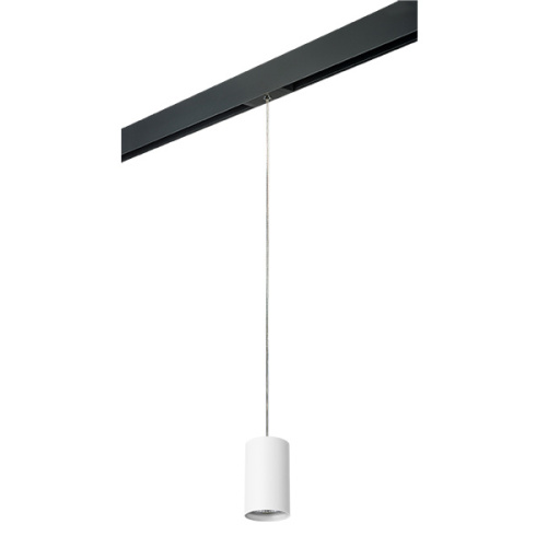 PRORP436 Светильник д/1-фазн трека RULLO HP16 (214436+595857) PRORP436 Светильник д/1-фазн трека RULLO HP16 (214436+595857)