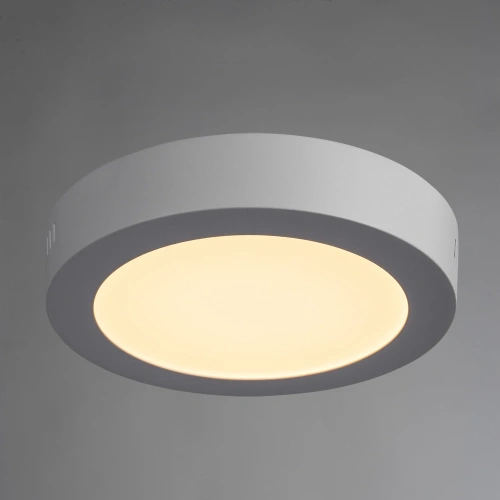 Потолочный светильник Arte Lamp ANGOLO A3012PL-1WH фото 2 Потолочный светильник Arte Lamp ANGOLO A3012PL-1WH фото 2