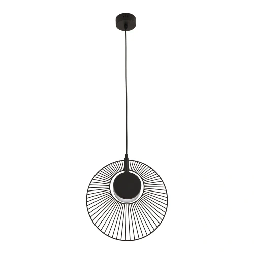 Подвесной светильник Arte Lamp LAYLA A2808SP-1BK Подвесной светильник Arte Lamp LAYLA A2808SP-1BK