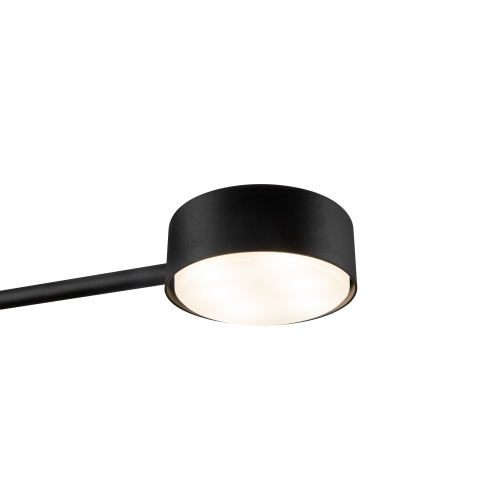 Потолочный светильник Freya FR5363CL-02B1 фото 4