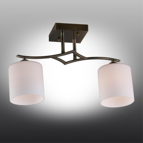 Люстра потолочная OML-55317-02 фото 3 Люстра потолочная OML-55317-02 фото 3