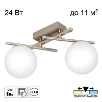 Citilux DORSY CL223121 LED Светильник поворотный Матовый Хром