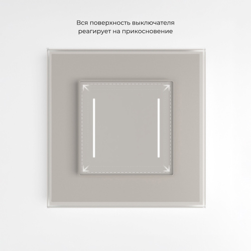Сенсорный выключатель двухклавишный с подсветкой (дымчатый) W4522014 фото 6 Сенсорный выключатель двухклавишный с подсветкой (дымчатый) W4522014 фото 6
