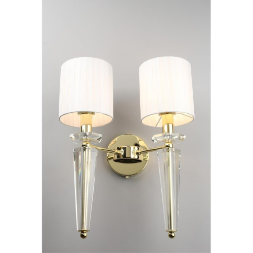 Светильник настенный (Бра) OML-88101-02 фото 4