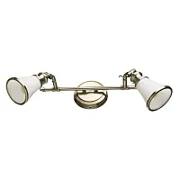 Спот Arte Lamp VENTO A9231AP-2AB