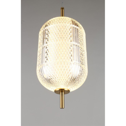 Светильник подвесной OML-68806-01 фото 6 Светильник подвесной OML-68806-01 фото 6