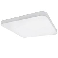 Накладной светодиодный светильник Lightstar Arco 226202