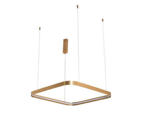 IT013-6031 gold 3000K светильник подвесной фото 4