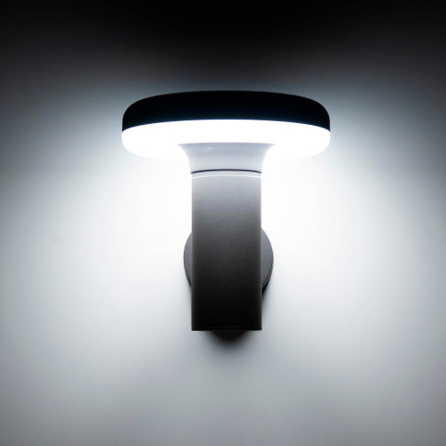 Citilux GARDA CLU01W LED Уличный настенный светильник Графит фото 8 Citilux GARDA CLU01W LED Уличный настенный светильник Графит фото 8