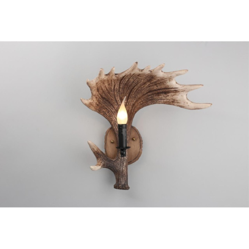 Светильник настенный (Бра) OML-52201-01 фото 4 Светильник настенный (Бра) OML-52201-01 фото 4