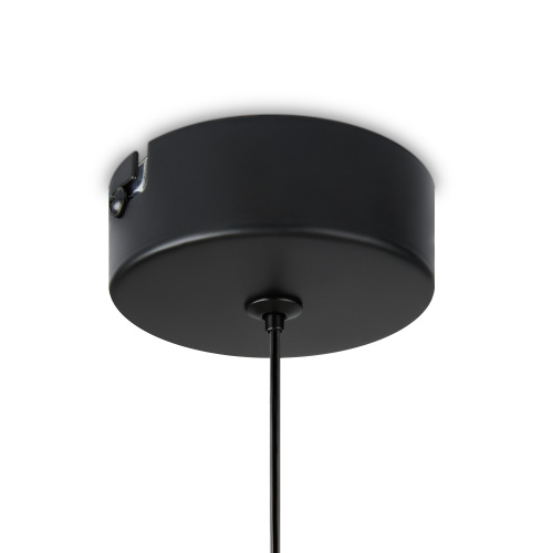 Подвесной светильник Freya FR6134PL-L4SM фото 8