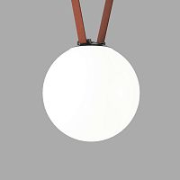 DK5554-BK Cветильник для трека-ремня Belty, серия Orb, со светодиодом, D230*H236мм, 48V DC, 15W, RA90, 120°, 4000K, IP20, черный, акрил